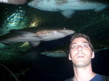 Ralph with shark