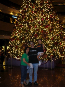 PNZ Christmas tree
