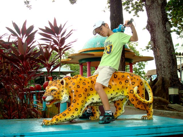 Zen rides the leopard.