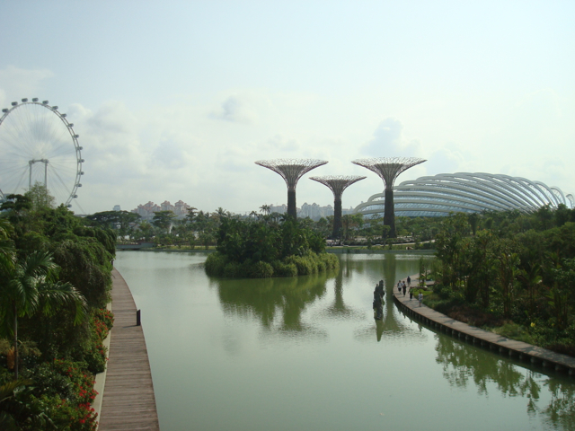 PNZ at Gardens By The Bay