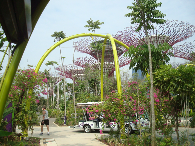 PNZ at Gardens By The Bay
