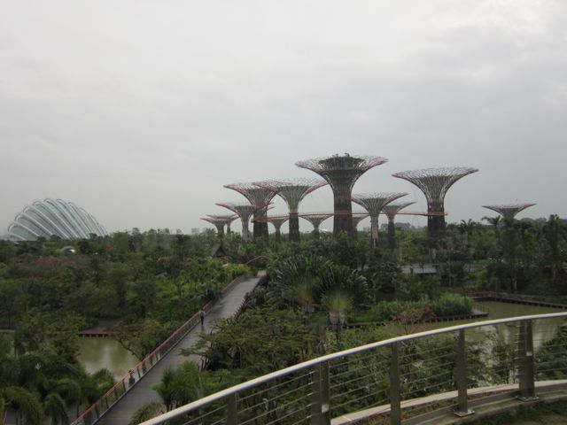 Checking out the Gardens By The Bay