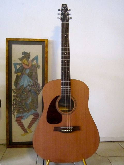 Seagull S6, left-handed version, front view